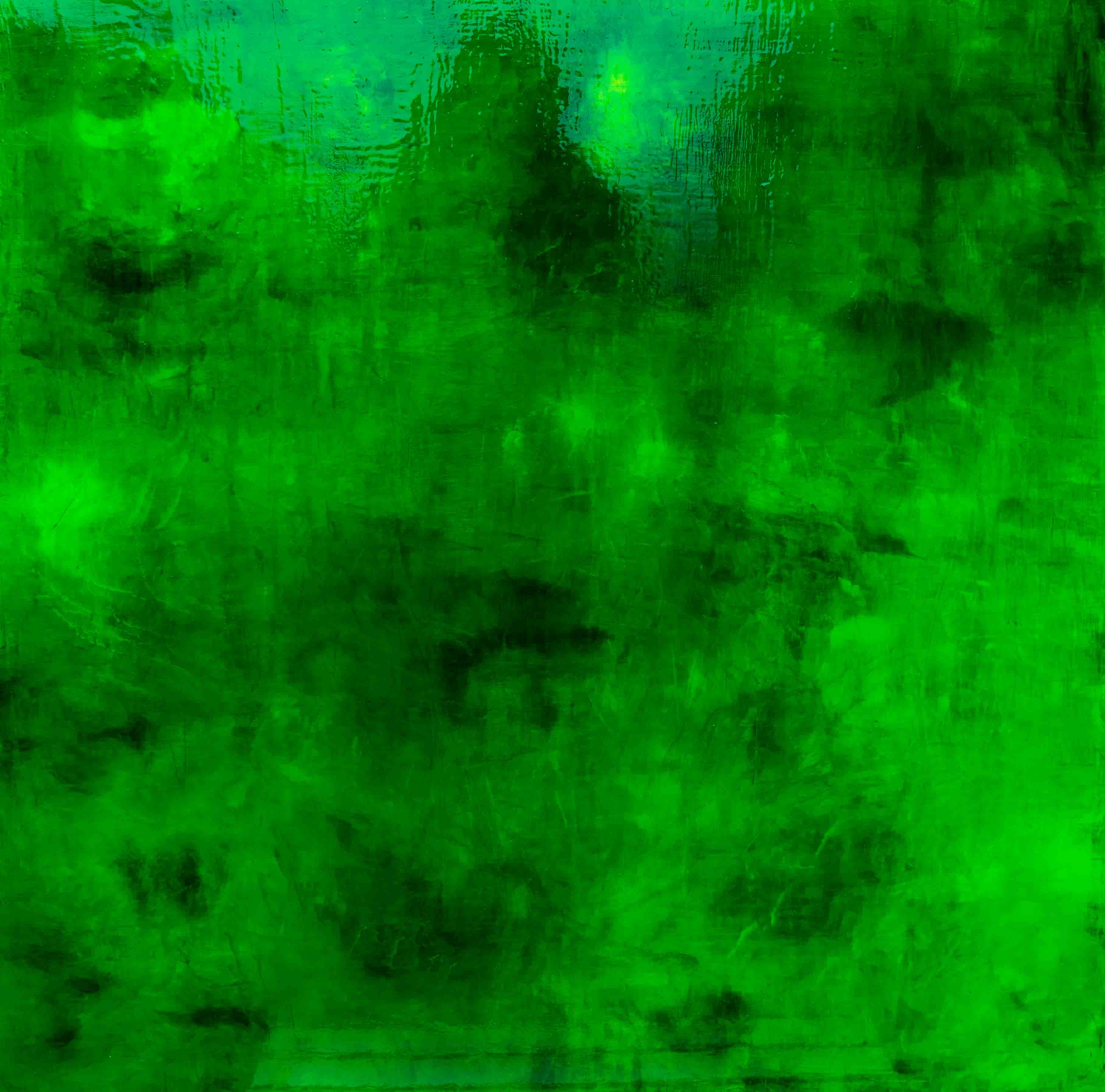HIPNOTIC GREEN